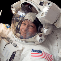 Peggy Whitson: 'Regressar à Terra é mais duro do que viajar para o espaço'
