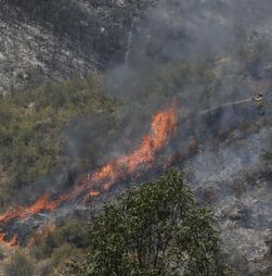 Incêndios: Mais de 160 concelhos de 17 distritos do continente em perigo máximo