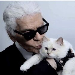 Onde param os 180 milhões da gata Choupette?