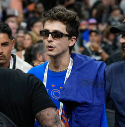 Timothée Chalamet prefere o título dos Knicks a vencer um Óscar