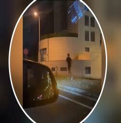 Imagens mostram violência entre adeptos após jogo de futsal entre o Sporting e o Benfica 