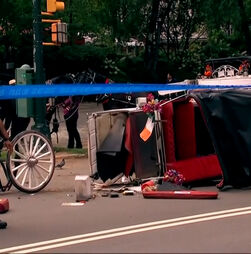 Adolescente morre após ser atirado de charrete no Central Park em Nova Iorque