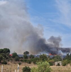 Incêndio em Loulé mobiliza mais de 150 operacionais e obriga ao corte da EN2