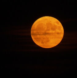 'Lua de Morango' ilumina os céus de Viena e não é por ser vermelha  