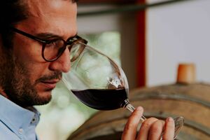 O enólogo e diretor-geral João Lino quer aproximar Sintra dos apreciadores de vinho