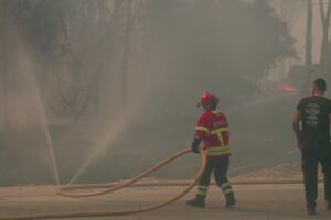 Um incêndio florestal deflagrou em Aveiro