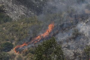 Risco de incêndio é elevado