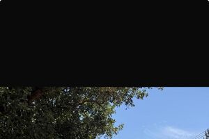 Uma carrinha do Póvoa de Santo Adrião Atlético Clube despistou-se, na tarde deste sábado, na zona de Milharado, no concelho de Mafra