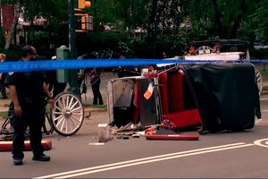 Adolescente morre após ser atirado de charrete no Central Park em Nova Iorque