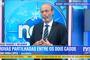 "Chega está a fazer render o peixe" no Parlamento, diz Bruno Faria Lopes
