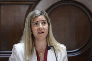 A ministra da Cultura, Juventude e Desporto anunciou a medida na abertura do festival literário Babell, no Porto