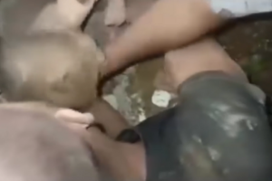 Momento emotivo mostra resgate de bebé preso nos destroços de edifício após sismos na Venezuela