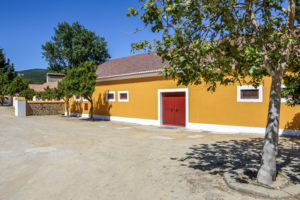A Quinta da Fonte Souto abre as portas para uma nova edição do “Sunset Com Outro Vagar"