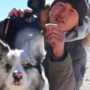Border Collie com 1,5 milhões de seguidores é morto e reacende debate sobre proteção animal