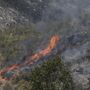 Cerca de 100 concelhos de 12 distritos do continente em perigo máximo de incêndio