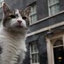 Já lá vão sete! Gato Larry despede-se de Keir Starmer e prepara-se para conhecer o novo Primeiro-Ministro do Reino Unido