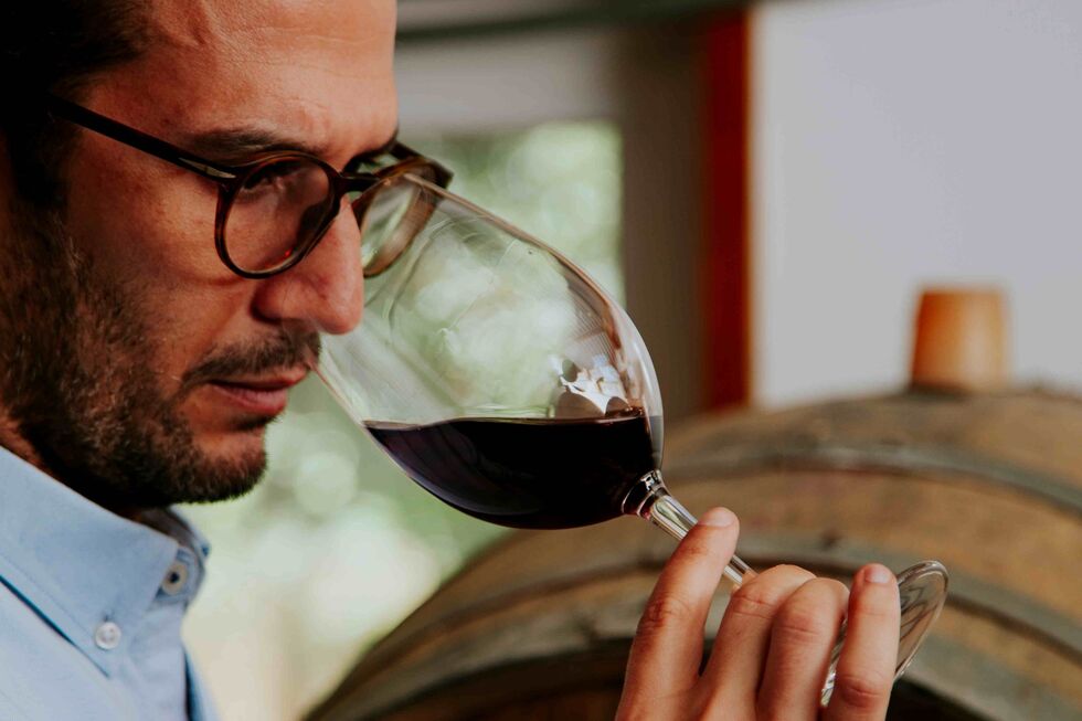 O enólogo e diretor-geral João Lino quer aproximar Sintra dos apreciadores de vinho