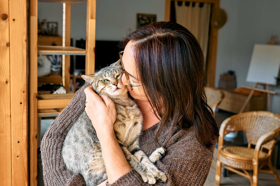Hoje é Dia de Abraçar o Gato. Mas será que o seu felino vai gostar de celebrar?