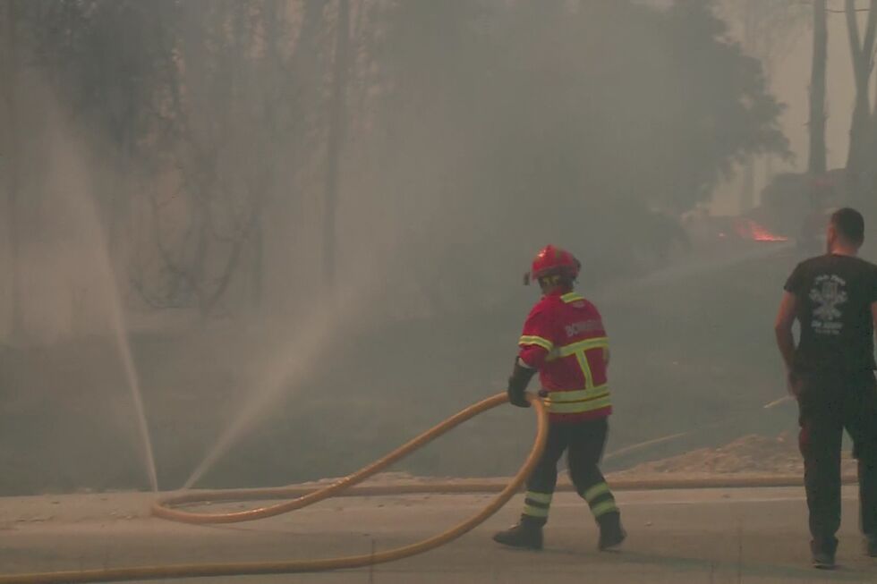 Um incêndio florestal deflagrou em Aveiro