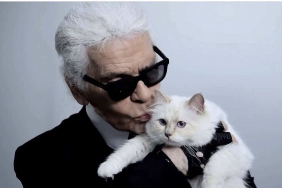 A gata de raça birmana foi a grande paixão de Karl Lagerfeld 