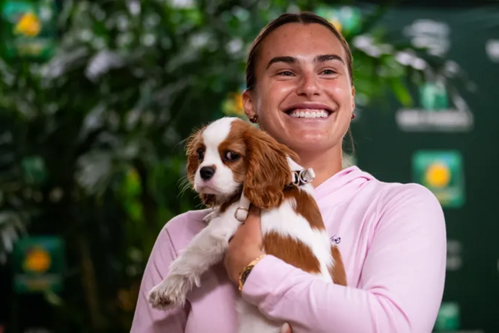Parece que nem todos os torneios são pet-friendly. Ao contrário do Roland Garros, Wimbledon vai manter a tradição sem animais