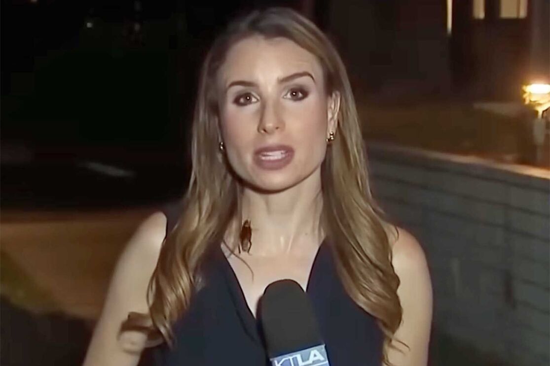 Rachel Menitoff 