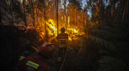 <![CDATA[ Incêndios: Mais de 70 concelhos do interior Norte e Centro em perigo máximo ]]>