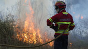 <![CDATA[ Incêndios: Fogo em Vouzela alcança distrito de Aveiro e já causou sete feridos ]]>
