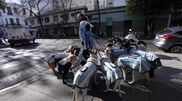 <![CDATA[ "La Perroneta": estes cães vestem-se a rigor para apoiar a seleção Argentina no Mundial ]]>