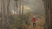 <![CDATA[ Portugal ativa Mecanismo Europeu de Proteção Civil devido aos incêndios ]]>