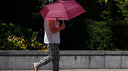 <![CDATA[ Calor extremo: de piscinas grátis a refúgios climáticos, os concelhos que estão a ajudar a população ]]>