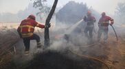 <![CDATA[ Fogo de Vouzela combatido por 1.181 operacionais e 12 meios aéreos ]]>