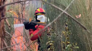 <![CDATA[ Bombeiros espanhóis reforçam combate aos incêndios no centro de Portugal ]]>