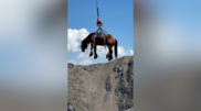 <![CDATA[ Cavalo cruza os céus de Andorra de helicóptero para receber tratamento ]]>