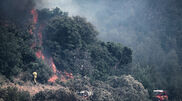 <![CDATA[ Grande Incêndio em Fointainebleau, a sul de Paris, mobiliza meios aéreos ]]>
