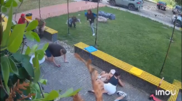 <![CDATA[ Videovigilância capta ataque russo em zona residencial na Ucrânia ]]>