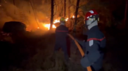 <![CDATA[ Imagens mostram incêndio que já consumiu 800 hectares na floresta de Fontainebleau em França ]]>
