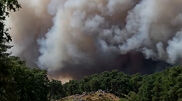 <![CDATA[ Imagens mostram enorme nuvem de fumo provocada por incêndio em Fontainebleau nos arredores de Paris ]]>