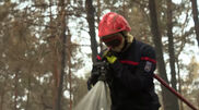 <![CDATA[ Bombeiros lutam para impedir reacendimento de fogo que lavrou em floresta nos arredores de Paris ]]>