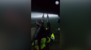 <![CDATA[ Equipas de emergência resgatam pessoas presas em carros submersos durante cheias no Texas ]]>