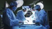 <![CDATA[ Portugal com máximos históricos de transplantes cardíacos e pulmonares em 2025 ]]>
