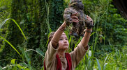 <![CDATA[ Morreu Kaylee Hottle, estrela dos filmes Godzilla vs. Kong, aos 18 anos ]]>