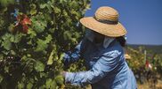<![CDATA[ Governo diz que país não pode aceitar corte em coesão e agricultura acima da média europeia ]]>