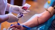 <![CDATA[ Sindicato pede investigação às condições de trabalho no centro de sangue do Porto ]]>