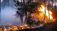 <![CDATA[ Incêndios intensos obrigam à retirada de milhares de pessoas no sudoeste de França ]]>