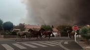 <![CDATA[ Imagens mostram cavalos em fuga perante incêndios florestais em França ]]>