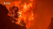 <![CDATA[ Incêndio devastador obriga à retirada de 15 mil pessoas na região espanhola de Valência ]]>