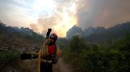 <![CDATA[ Incêndios: Fogo em área florestal de Soure combatido por 12 meios aéreos ]]>