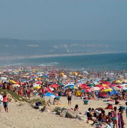 A casa, o carro e as atividades ao ar livre: 19 recomendações da DGS para o calor