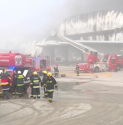 Incêndio no concelho do Montijo já está dominado 